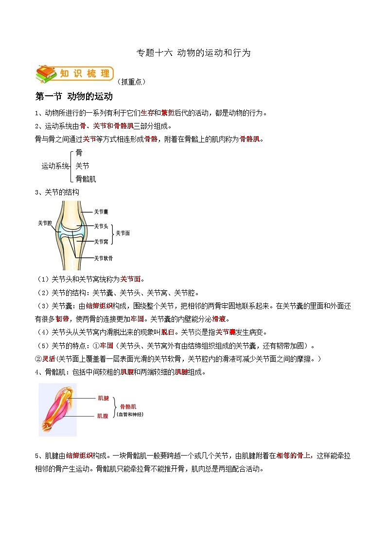 中考生物一轮复习抓重点考典型专题16 动物的运动和行为(含解析)第1页