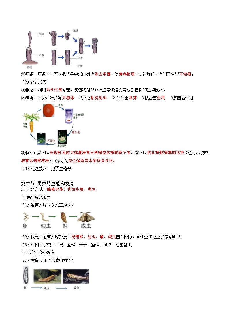 中考生物一轮复习抓重点考典型专题19 生物的生殖和发育（含解析）02