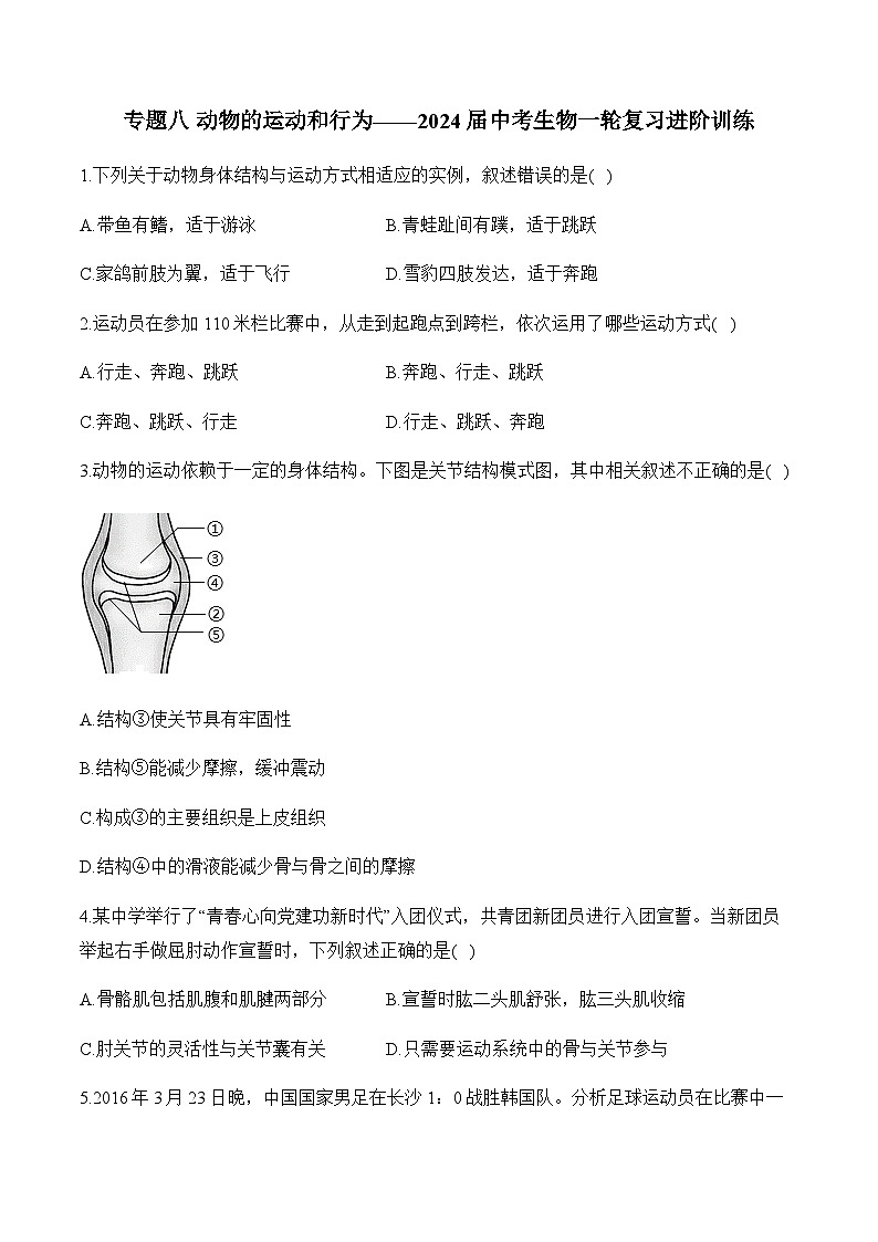 专题八 动物的运动和行为——2024届中考生物一轮复习进阶训练第1页