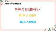 人教版 (新课标)七年级下册第二节 人的生殖完美版教学课件ppt