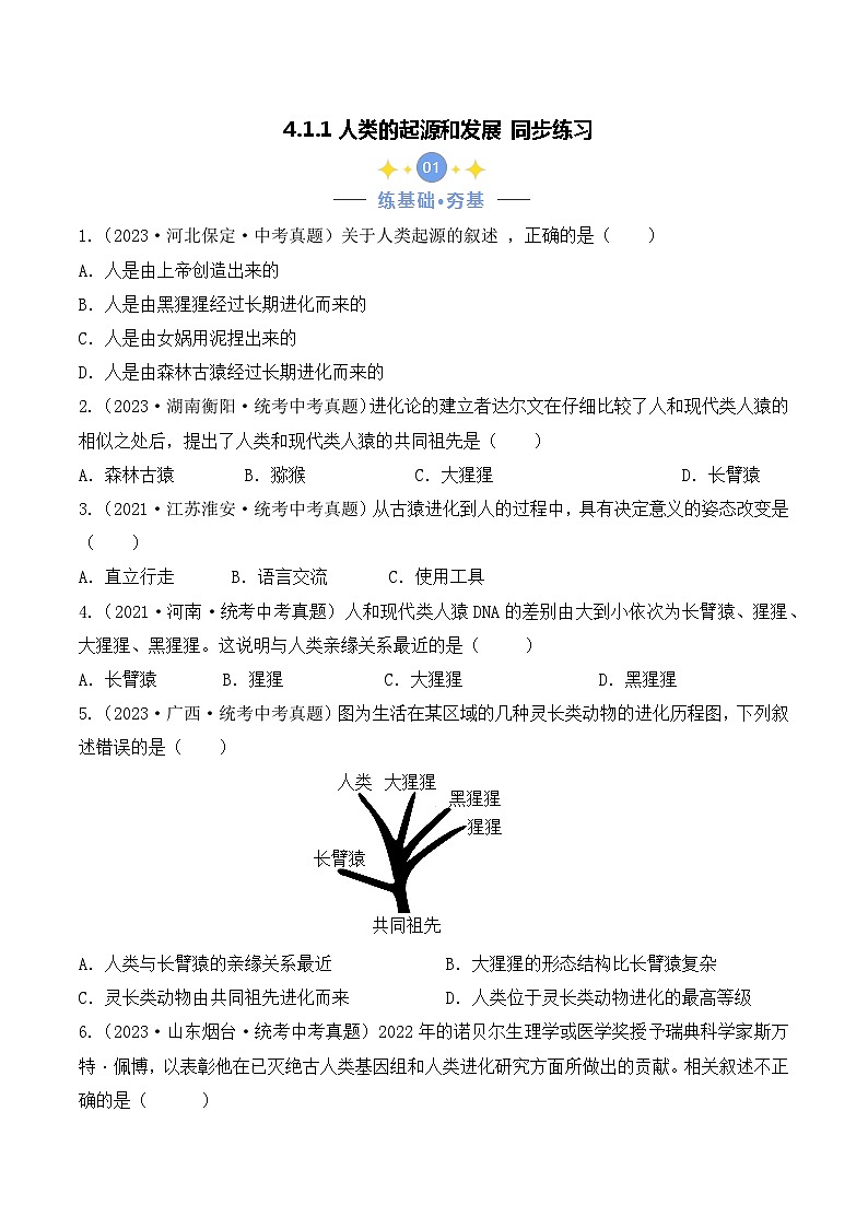 4.1.1 人类的起源和发展-七年级生物下册 同步练习第1页