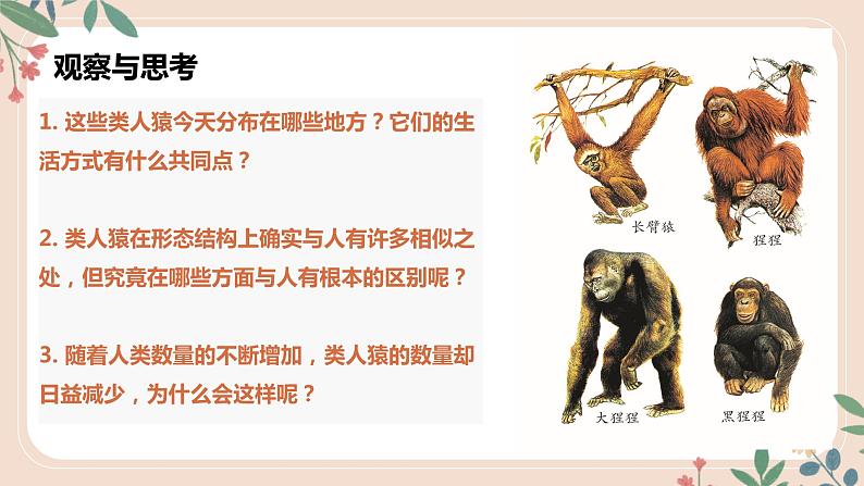 4.1.1 人类的起源和发展-七年级生物下册 教学课件 (人教版)第8页