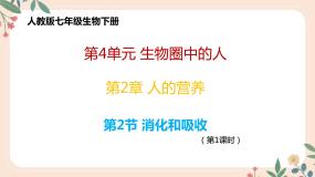 生物第四单元 生物圈中的人第二章 人体的营养第二节 消化和吸收优质课教学课件ppt