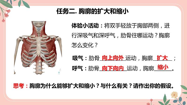 4.3.2 发生在肺内的气体交换(第1课时)-七年级生物下册 教学课件+教学设计+练习(人教版)07