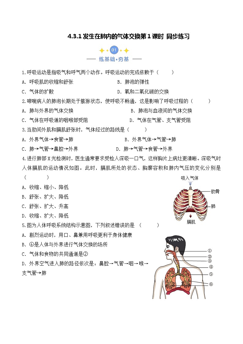 4.3.2 发生在肺内的气体交换(第1课时)-七年级生物下册 教学课件+教学设计+练习(人教版)01