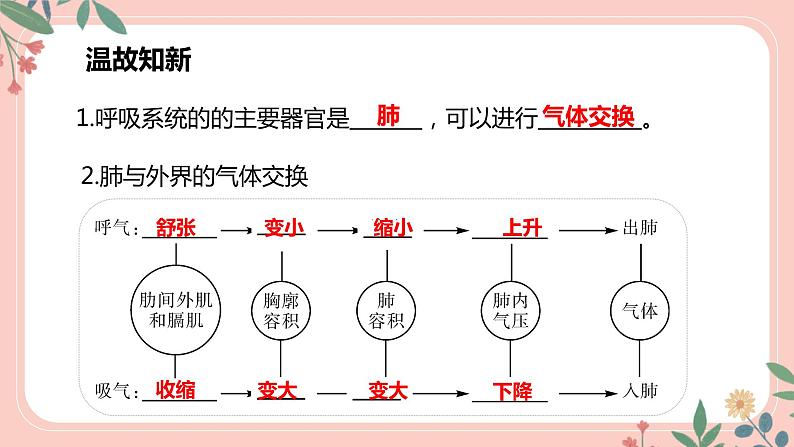 4.3.2 发生在肺内的气体交换(第2课时)-七年级生物下册 教学课件 (人教版)第3页