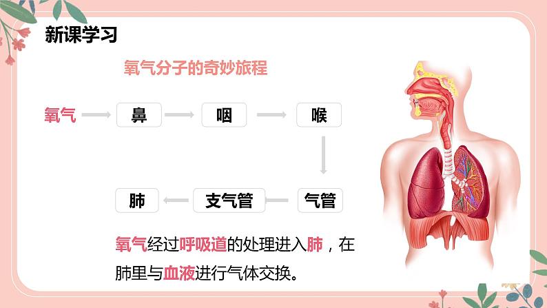 4.3.2 发生在肺内的气体交换(第2课时)-七年级生物下册 教学课件 (人教版)第7页