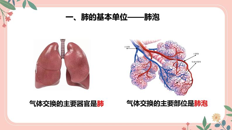 4.3.2 发生在肺内的气体交换(第2课时)-七年级生物下册 教学课件 (人教版)第8页