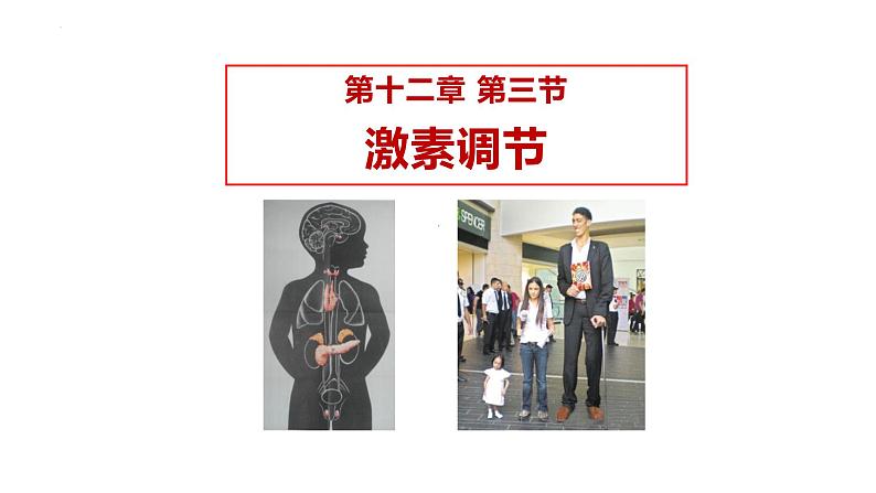 12.3激素调节课件2023--2024学年北师大版生物七年级下册第1页