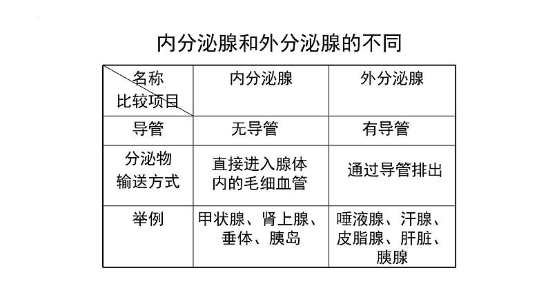 12.3激素调节课件2023--2024学年北师大版生物七年级下册第5页