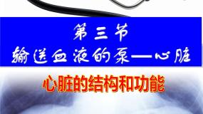 生物七年级下册第三节 输送血液的泵──心脏图片ppt课件