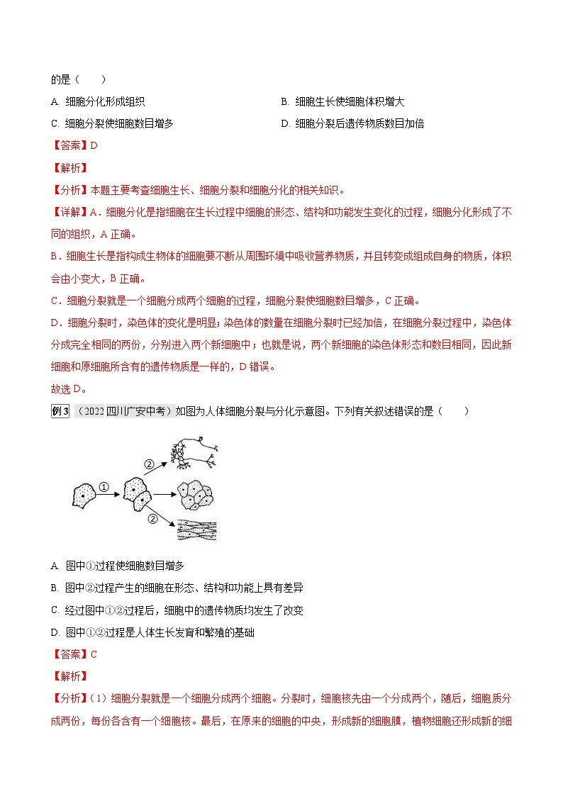 中考生物一轮复习真题探究与变式训练专题02 细胞怎样构成生物体（含解析）02