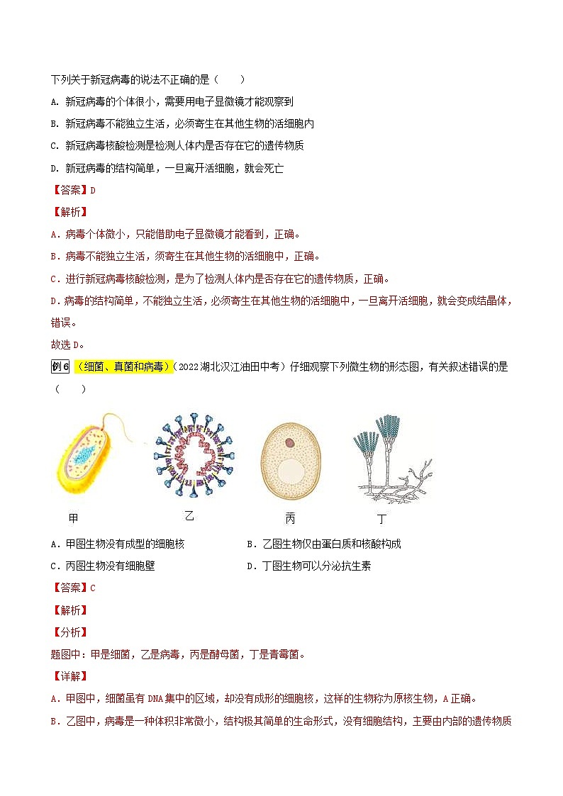 中考生物一轮复习真题探究与变式训练专题05 生物圈中的微生物(含解析)第3页