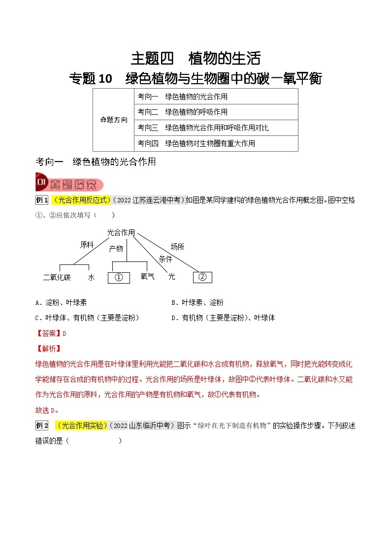 中考生物一轮复习真题探究与变式训练专题10 绿色植物与生物圈中的碳—氧平衡（含解析）01