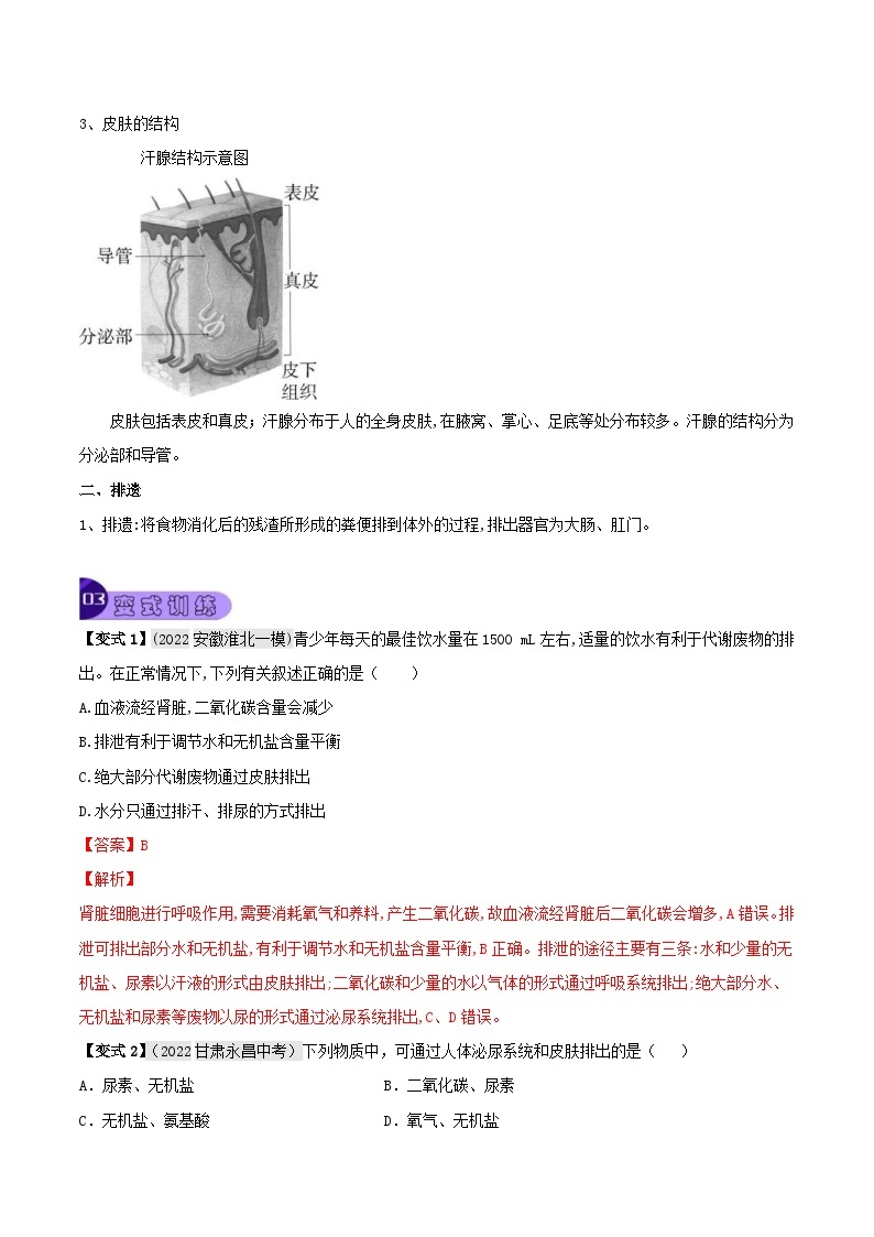 中考生物一轮复习真题探究与变式训练专题14 人体内废物的排出（含解析）03