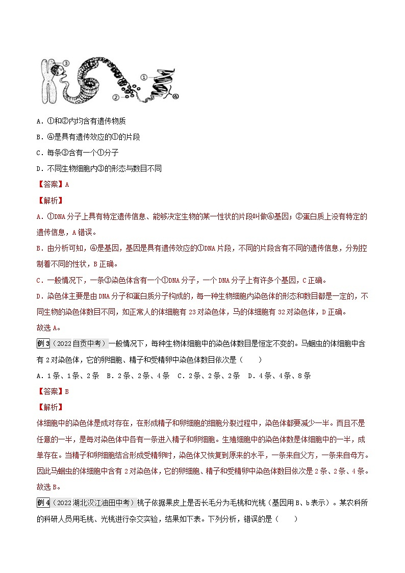 中考生物一轮复习真题探究与变式训练专题18 生物的遗传和变异(含解析)第2页