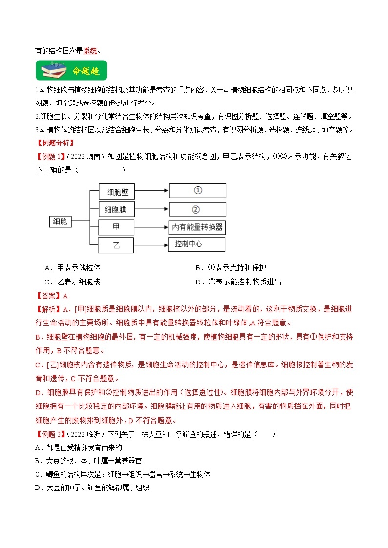 中考生物二轮复习重难点练习重难点02 生物体的结构层次  （含解析）02