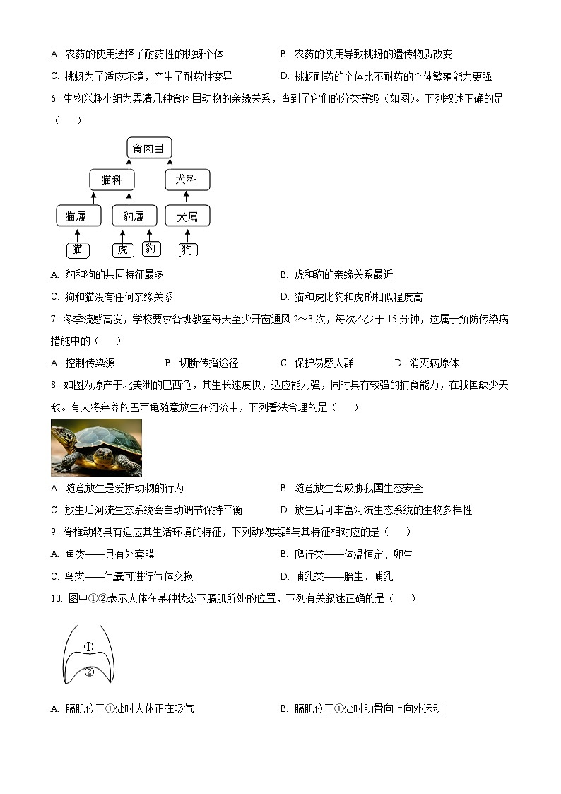 2024年山西省大同市大同一中中考一模生物试题(原卷版+解析版)02