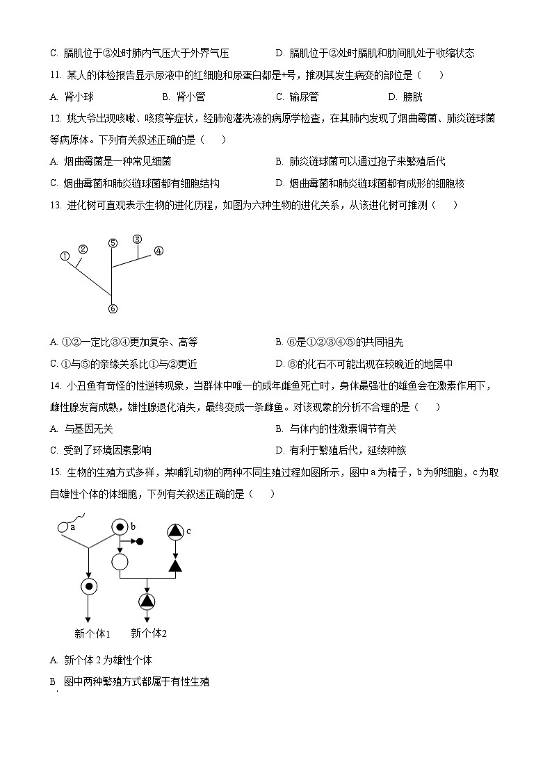2024年山西省大同市大同一中中考一模生物试题(原卷版+解析版)03