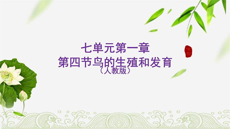 7.1.4鸟的生殖和发育课件2023--2024学年人教版生物八年级下册第1页