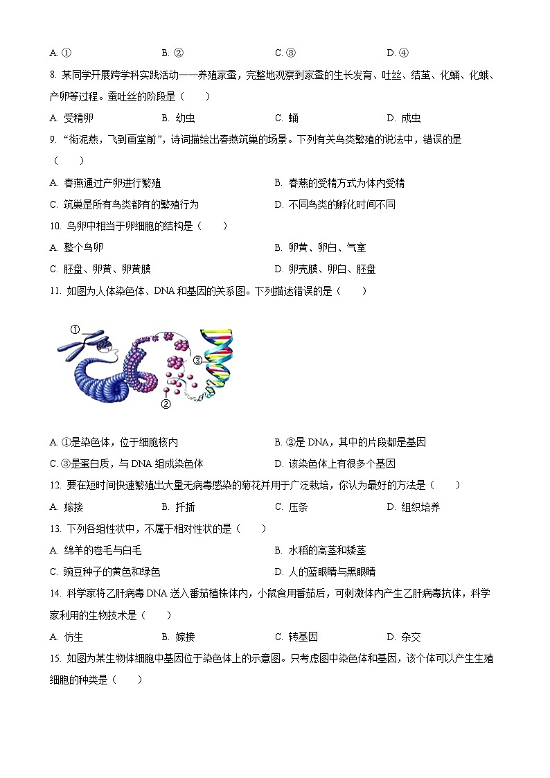江西省上饶市万年县第五中学2023-2024学年下学期八年级3月月考生物试题(原卷版)第2页