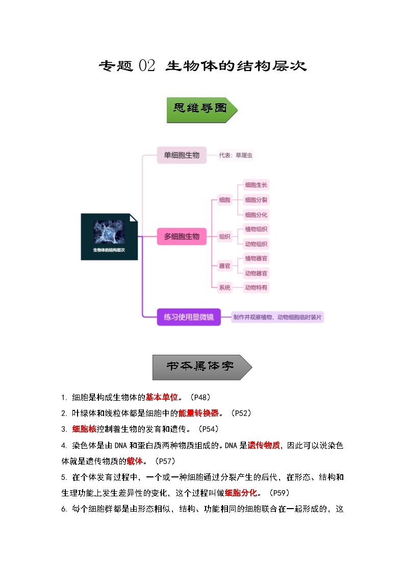 中考生物一轮复习核心考点梳理与必背专题02 生物体的结构层次01