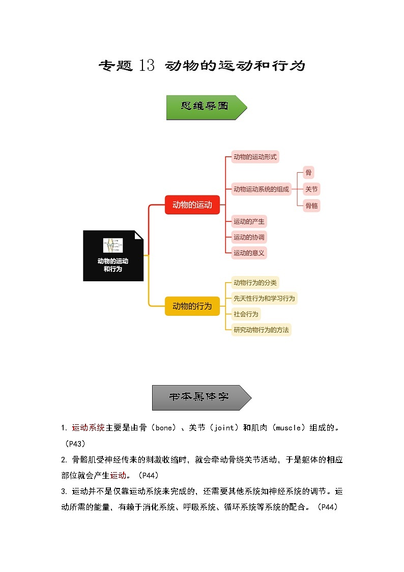 中考生物一轮复习核心考点梳理与必背专题13 动物的运动和行为01
