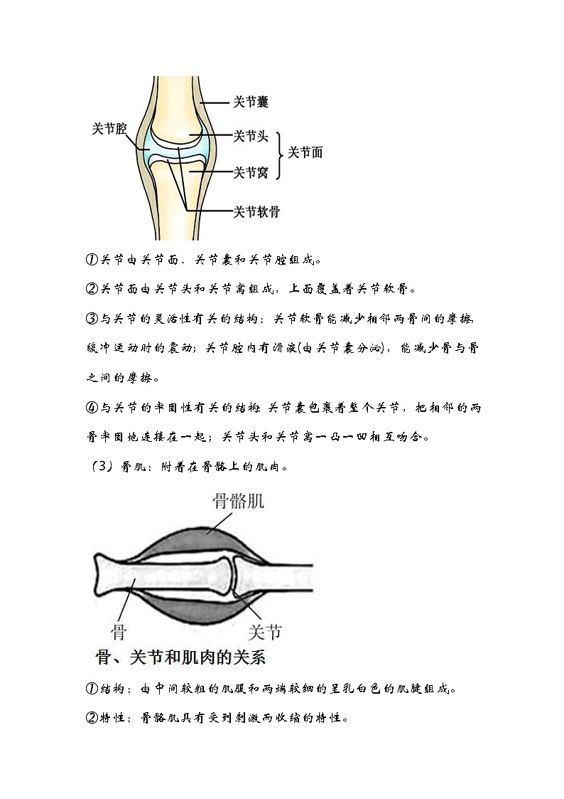 中考生物一轮复习核心考点梳理与必背专题13 动物的运动和行为03