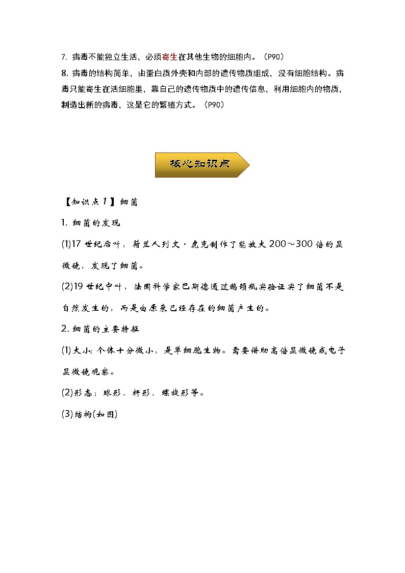 中考生物一轮复习核心考点梳理与必背专题14 细菌、真菌和病毒02