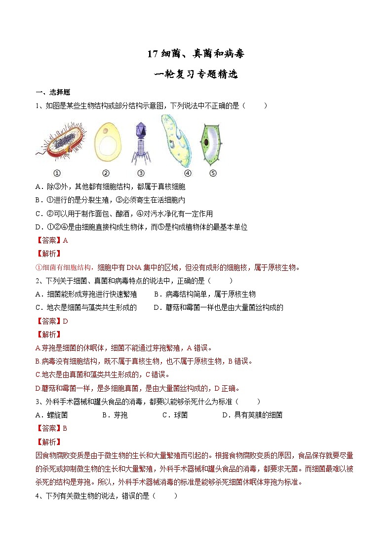 中考生物一轮复习 习题精练专题17 细菌、真菌和病毒(含解析)01
