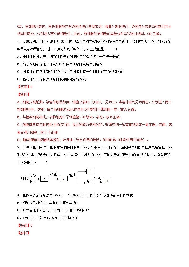 最新中考生物一轮复习课件+讲练测  专题03 细胞怎样构成生物体（专题精练）03