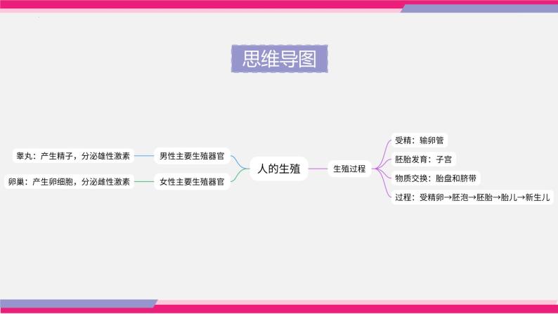 最新中考生物一轮复习课件+讲练测  专题09 人的由来（专题精练）07