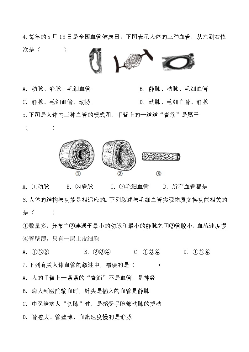 4.4.2 血流的管道——血管-七年级生物下册 教学课件+教学设计+练习（人教版）02