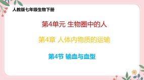 初中第四节 输血与血型试讲课教学ppt课件