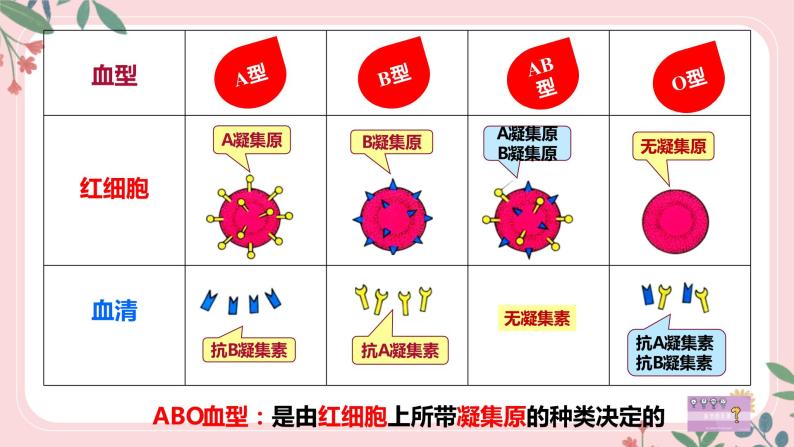 4.4.4 输血和血型-七年级生物下册 教学课件+教学设计+练习（人教版）08