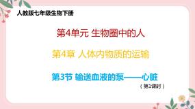 初中生物人教版 (新课标)七年级下册第四单元 生物圈中的人第四章 人体内物质的运输第三节 输送血液的泵──心脏一等奖教学ppt课件