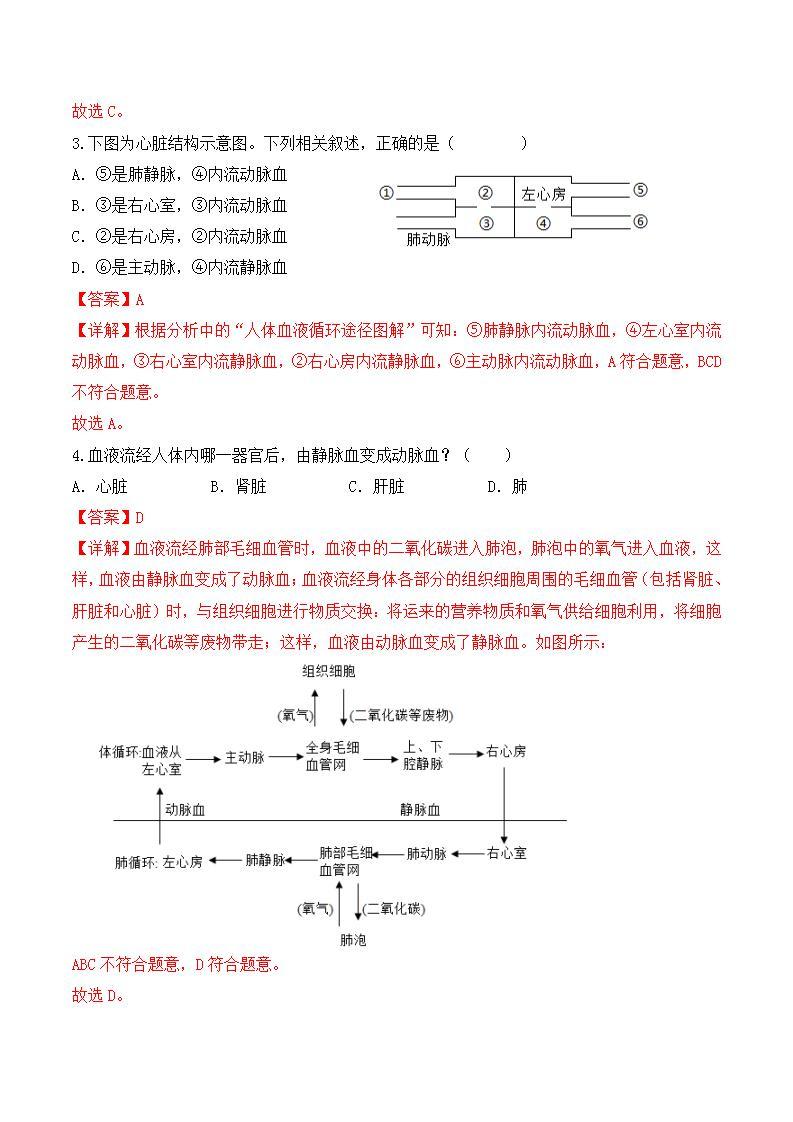 4.4.3 输送血液的泵——心脏（第2课时）-七年级生物下册 教学课件+教学设计+练习（人教版）02