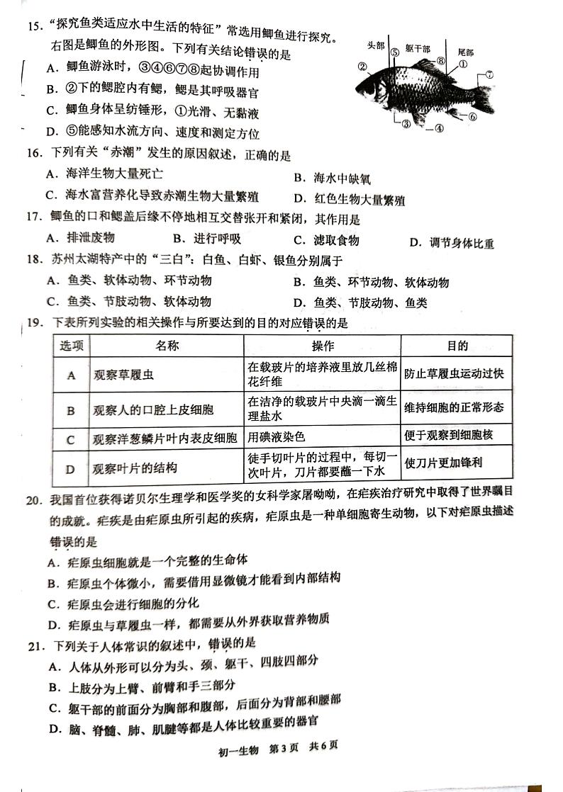江苏省苏州市吴江区2023-2024学年七年级下学期4月期中生物试题03