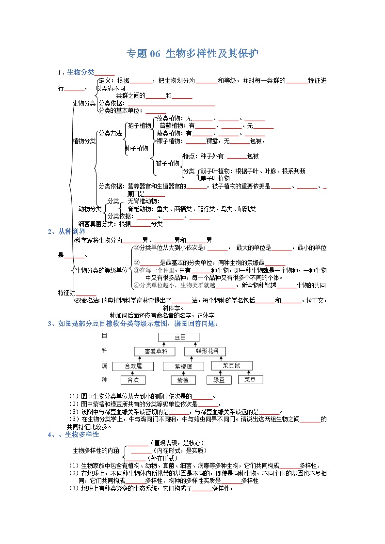 专题06 生物多样性及保护试卷-【晨读晚默】2023年中考生物必背知识清单（填空版+答案版）