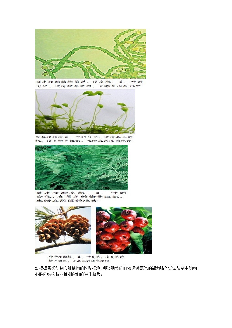 3.2 生物进化的历程(教学设计)2023-2024学年人教版生物八年级下册02