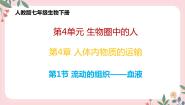 人教版 (新课标)七年级下册第一节 流动的组织──血液优秀教学课件ppt