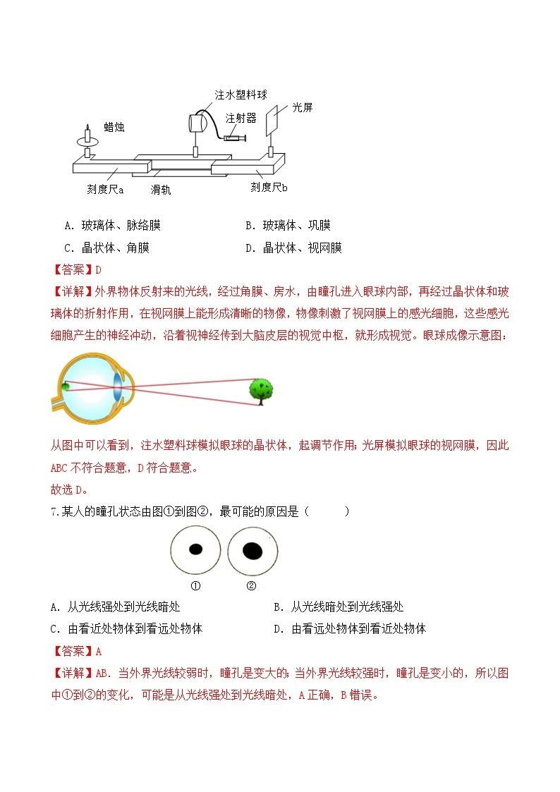 4.6.1 人体对外界信息的感知（第1课时）-七年级生物下册 教学课件+教学设计+练习（人教版）03