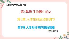 人教版 (新课标)七年级下册第一节 人体对外界环境的感知教学ppt课件