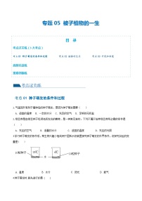专题05 被子植物的一生（练习，3大考点）-中考生物一轮复习讲练测（全国通用）
