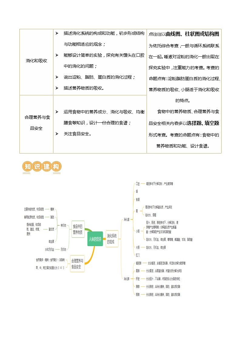 专题10 人体的营养(讲义)-中考生物一轮复习讲练测(全国通用)02