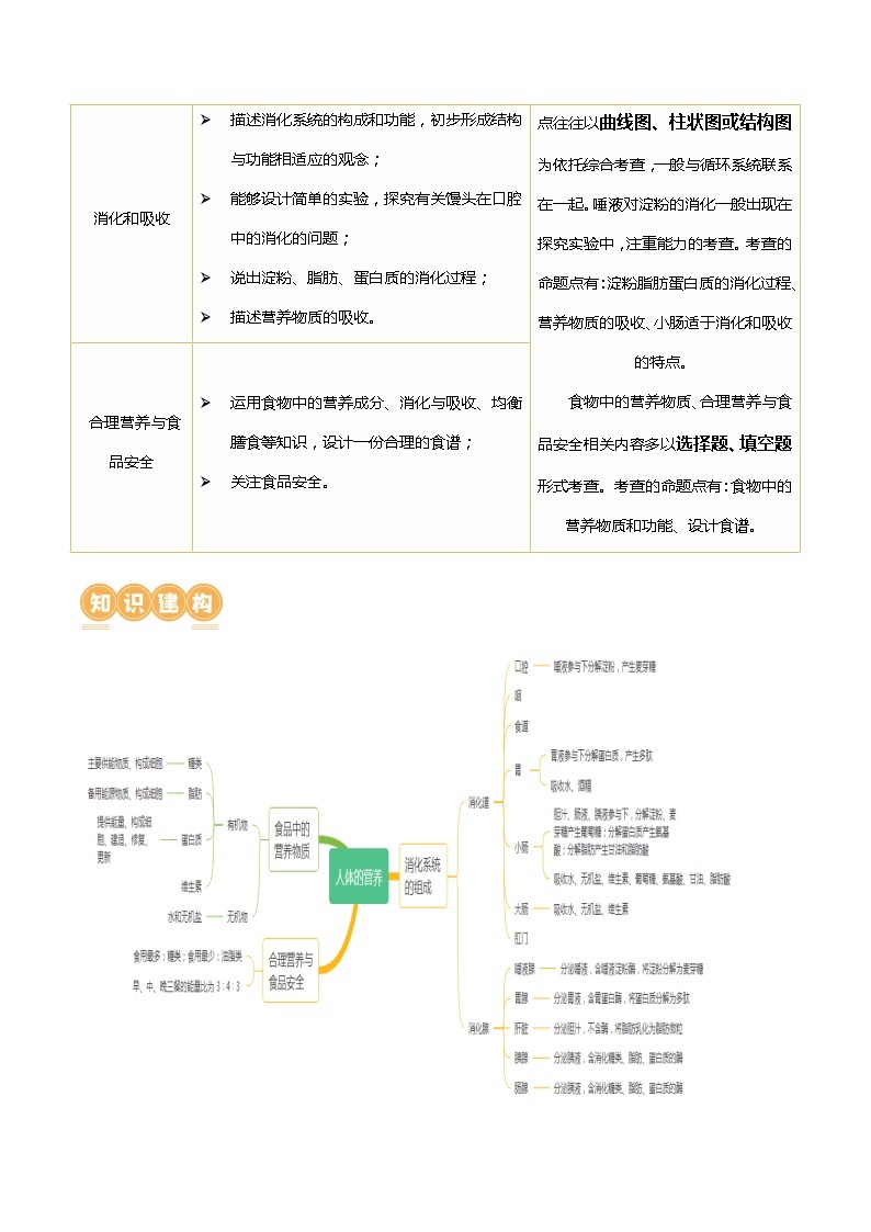 专题10 人体的营养（讲义）-中考生物一轮复习讲练测（全国通用）02