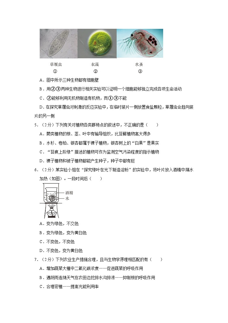 2024年山东省枣庄市山亭区翼云中学中考生物模拟试卷(解析版)第2页