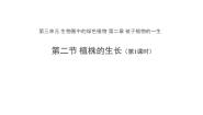 初中人教版 (新课标)第二节 植株的生长教学演示ppt课件