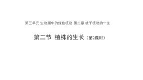 人教版 (新课标)七年级上册第二节 植株的生长背景图ppt课件
