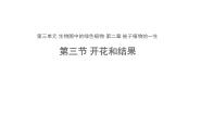 人教版 (新课标)七年级上册第三单元 生物圈中的绿色植物第二章 被子植物的一生第三节 开花和结果教学演示课件ppt